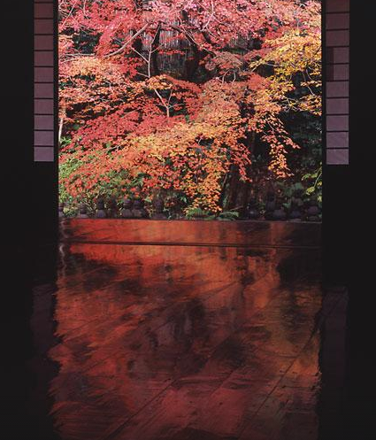 京都紅葉イメージ